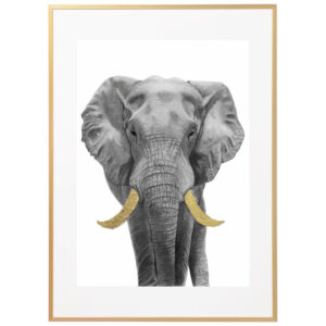 Elephant gold leaf print