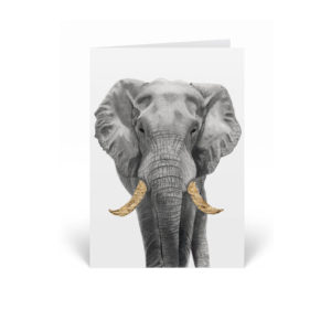 Elephant gold leaf greeting card