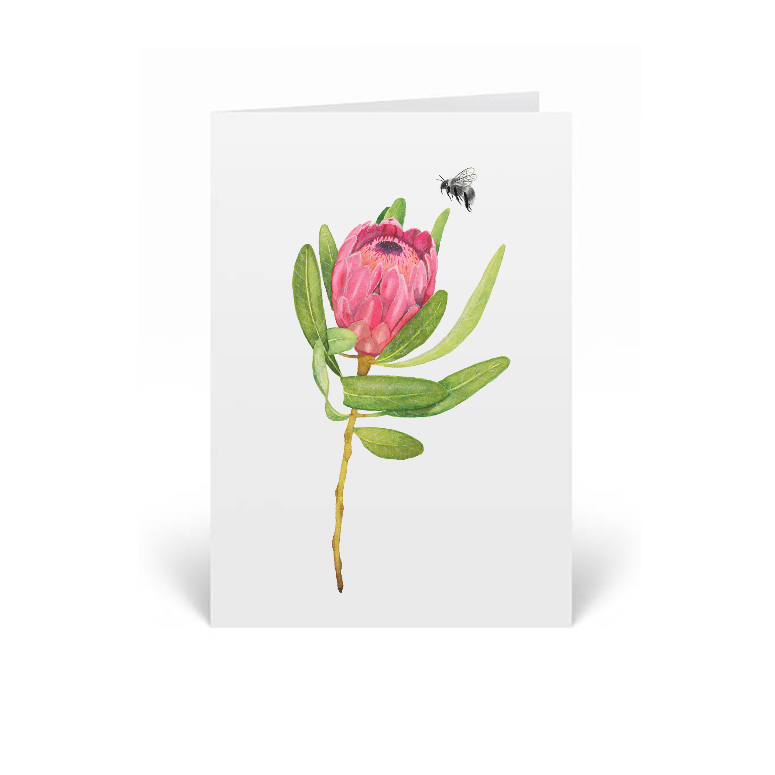 protea greeting card