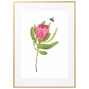 protea print