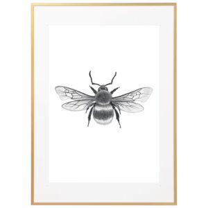 queen bee print