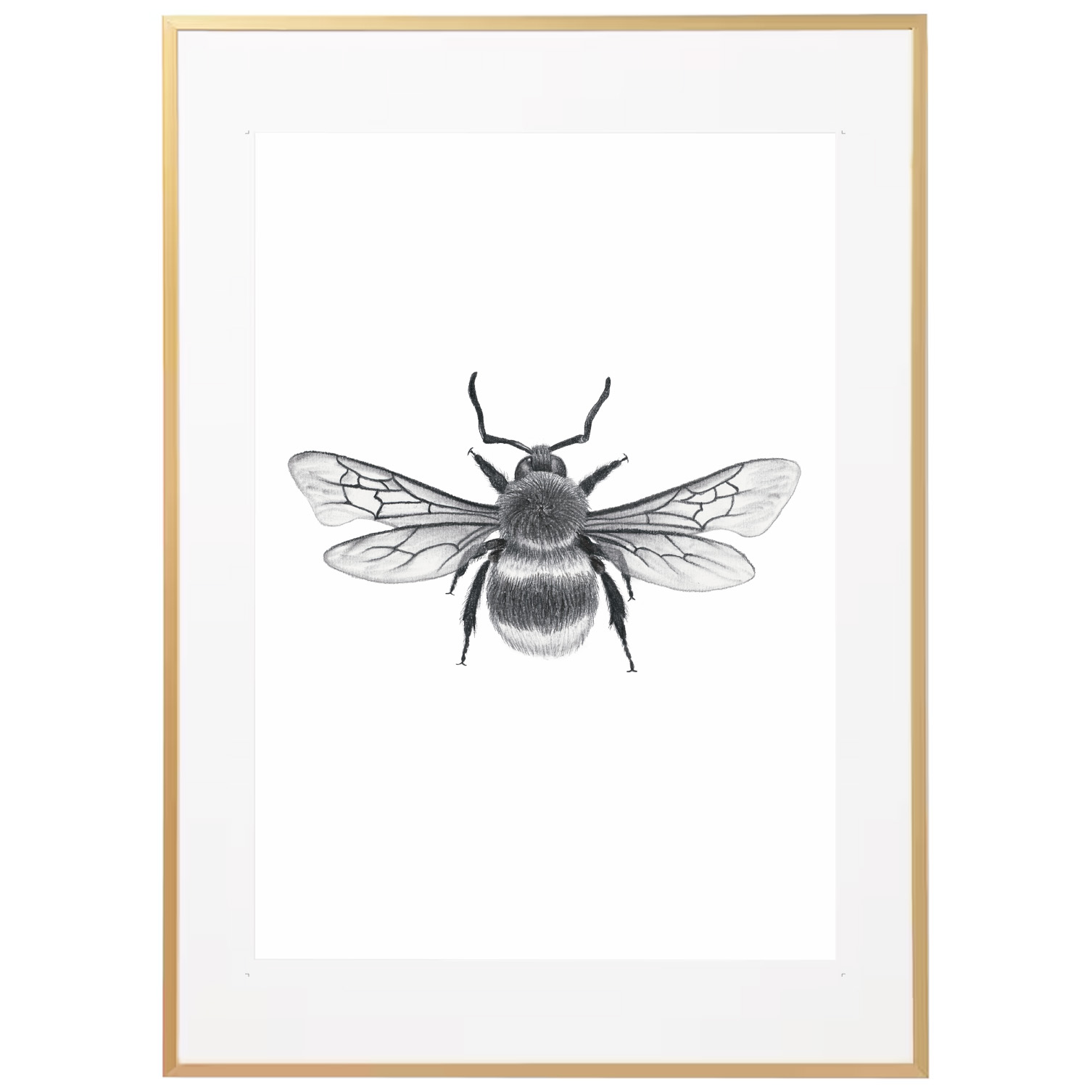 queen bee print