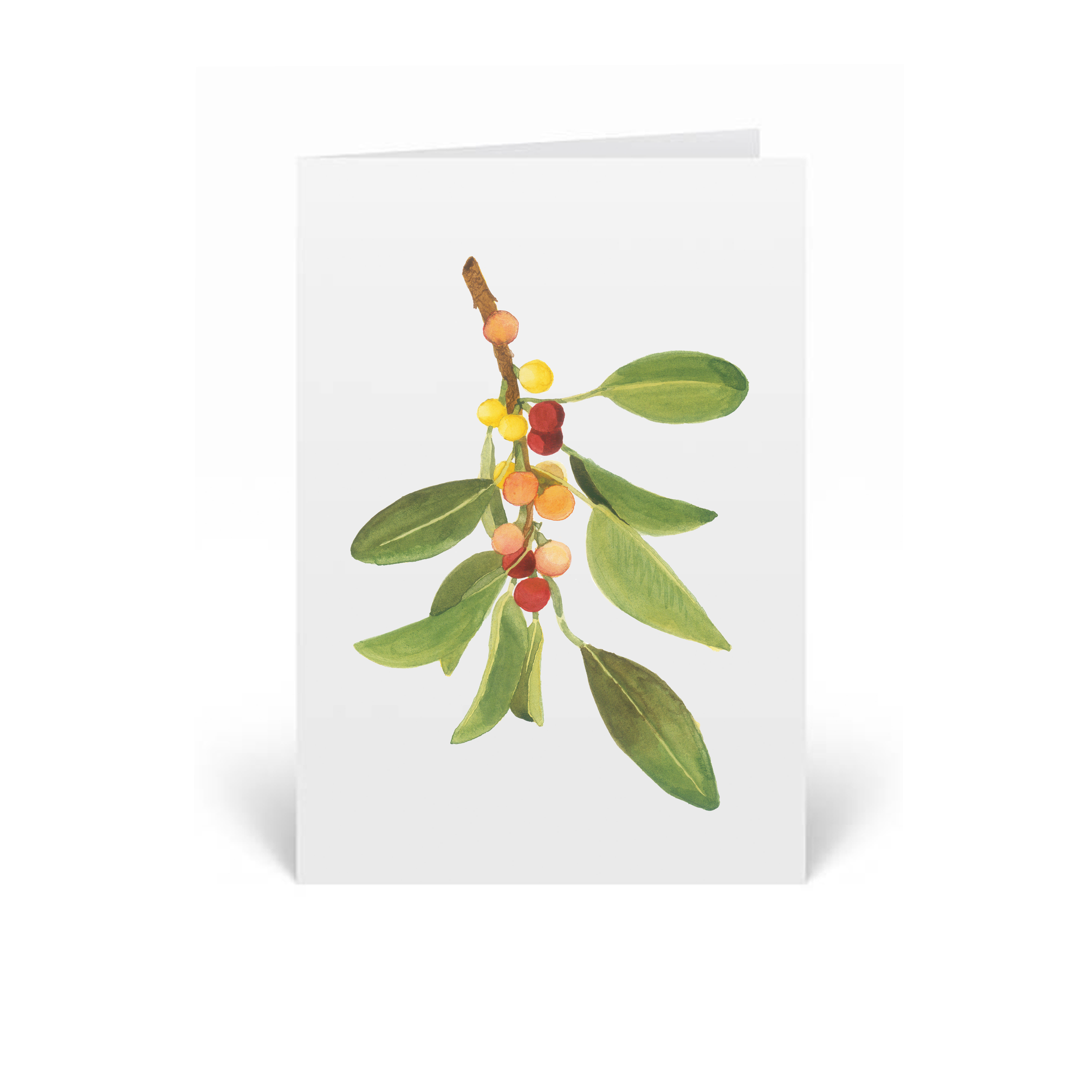 Ficus obliqua greeting card
